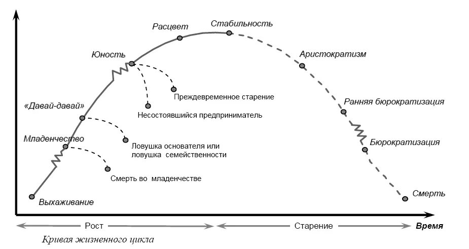 Ицхак Адизес модель жизненного цикла. Адизес жизненный цикл организации. И. Адизес: “теория жизненных циклов организации” (1979).. Этапы жизненного цикла организации по Адизесу. Какие стадии можно выделить в жизненном цикле