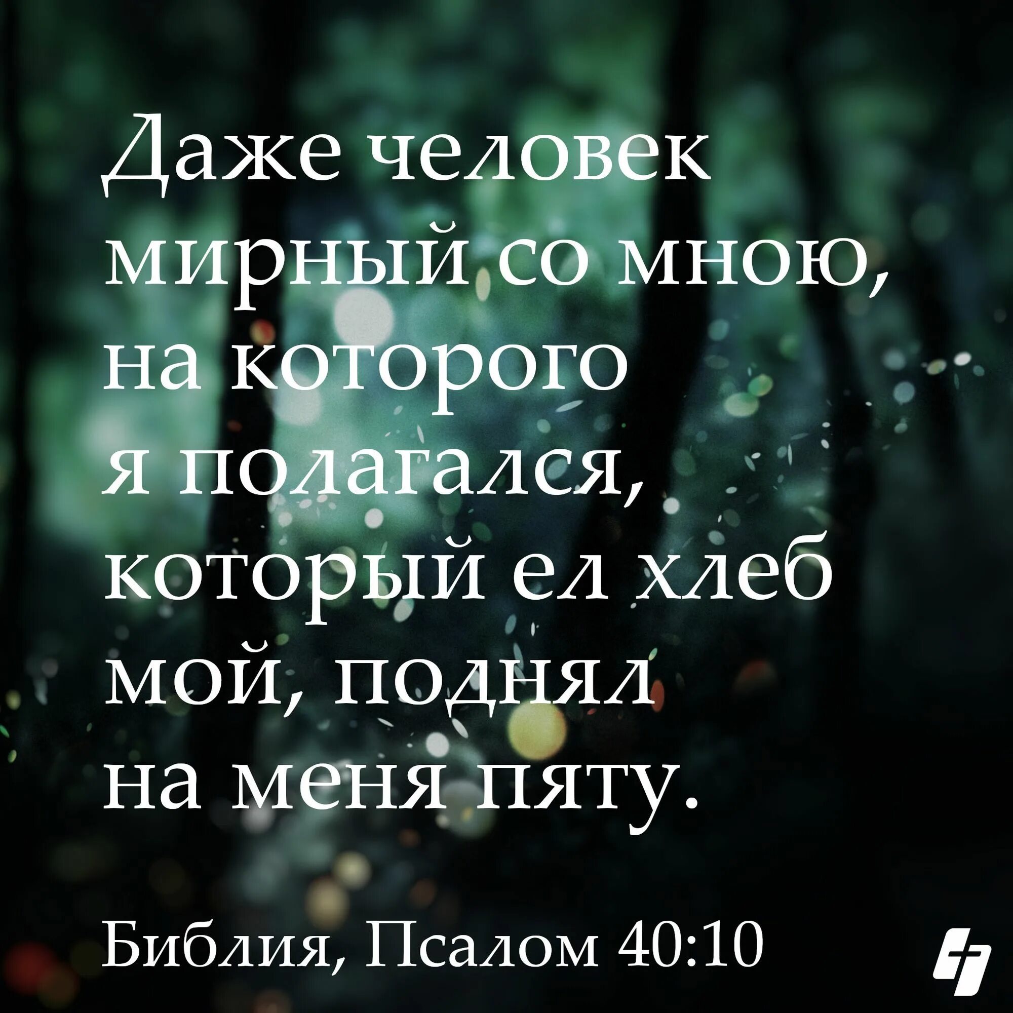 Псалом 40 читать на русском. Псалом 40. Псалтырь 40 Псалом. Сороковой Псалом. Псалом 40 читать.