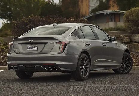 2019 v