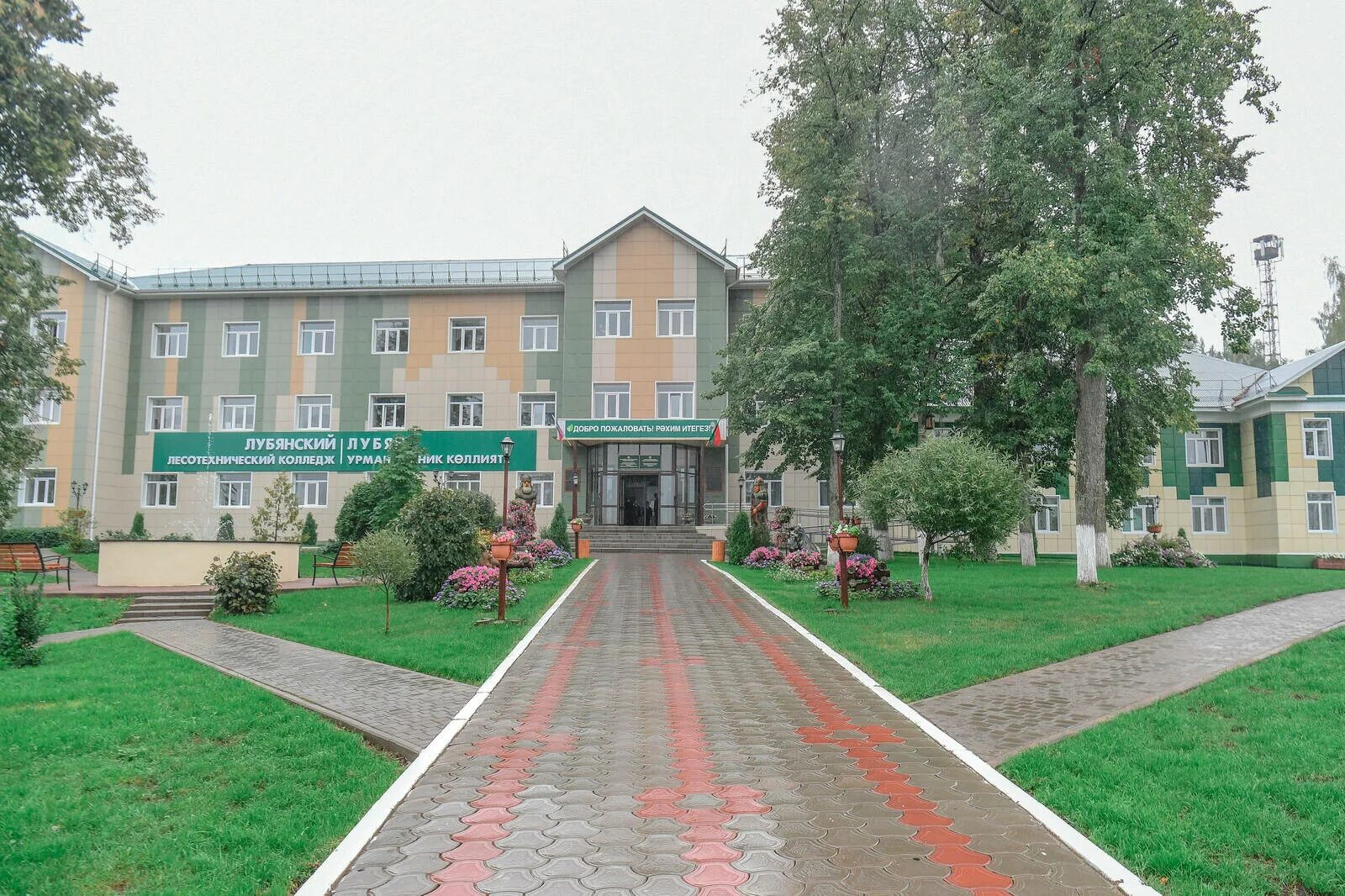 Министерство лесного хозяйства Республики Татарстан