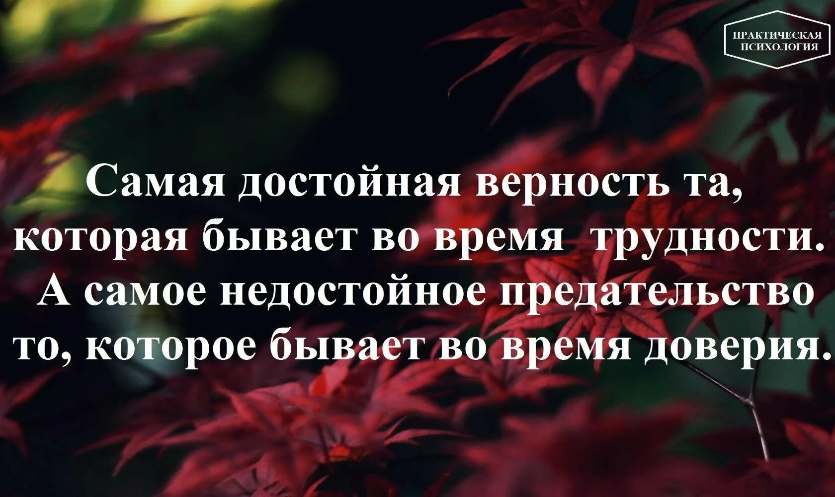 Цитаты про верность. Высказывания о преданности. Высказывания про верность и преданность. Цитаты про преданность и верность людей. Верность на английском