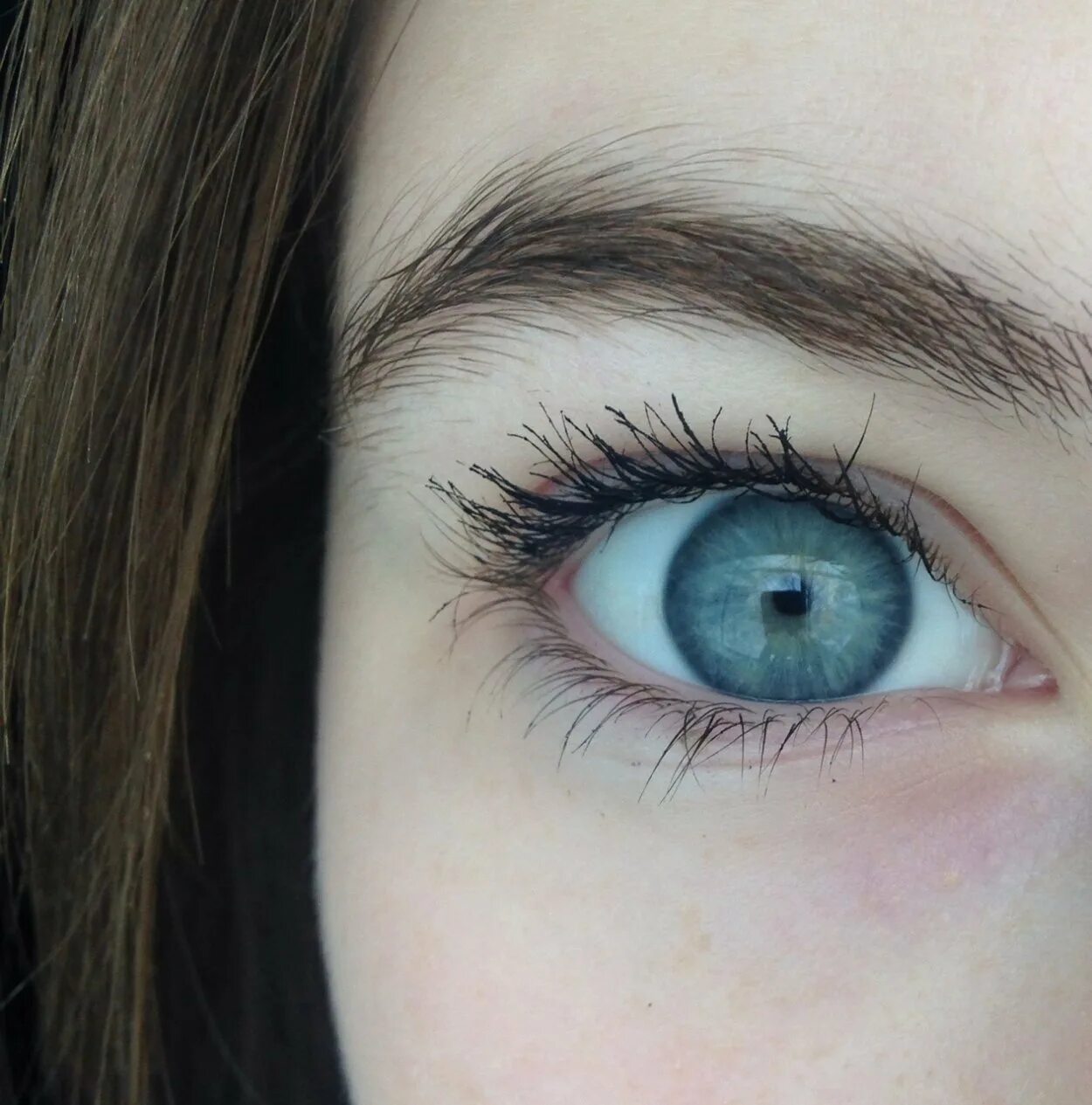 Один глаз серый другой. Гетерохромия и анизокория. Серо голубые глаза. Серо синие глаза. Голубой цвет глаз.