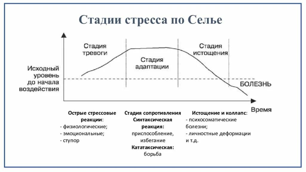 Стадии развития стрессовой реакции. Динамика развития стресса Селье. Этапы развития стресса по Селье. Стадии развития стресса по г Селье.