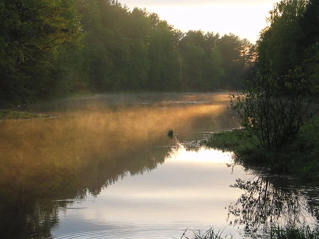 клин сестра речка клинский район. клин сестра речка клинский район. река сестра в сестрорецке. река скалба пушкинский район. малая сестра река сестрорецк.