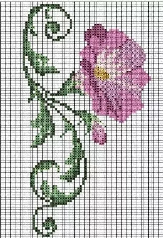 вышивка вьюнок крестиком. вьюн схема. вьюнок полевой корень. вышивание крестиком вьюн. цветочные композиции для вышивки.