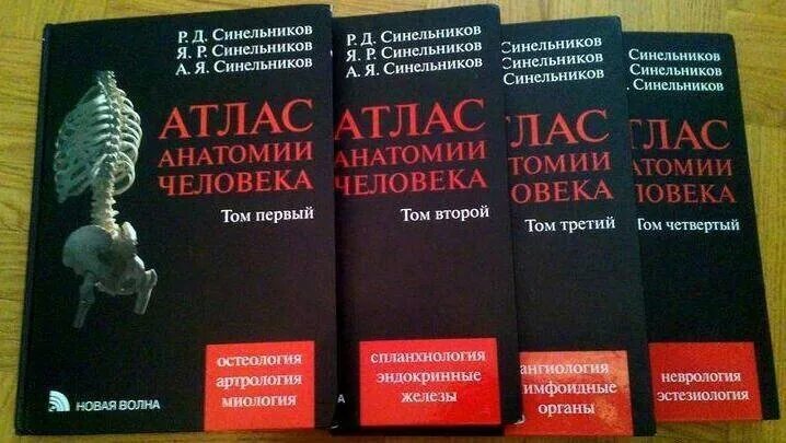 Атлас студентам анатомии. Атлас анатомии человека р.д. Синельникова в 4 томах. Атлас анатомии человека 3 Тома Синельников. Атлас анатомии человека Синельников том 4. Атлас анатомии человека Синельников 1989 в 2 томах.