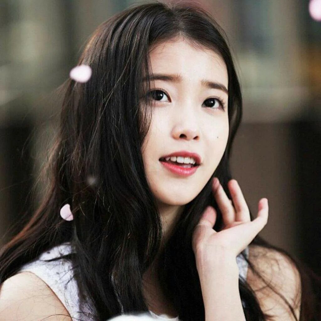 айю iu. айю айдол. певица айю корея. айю айдол. айю корейская певица биография.
