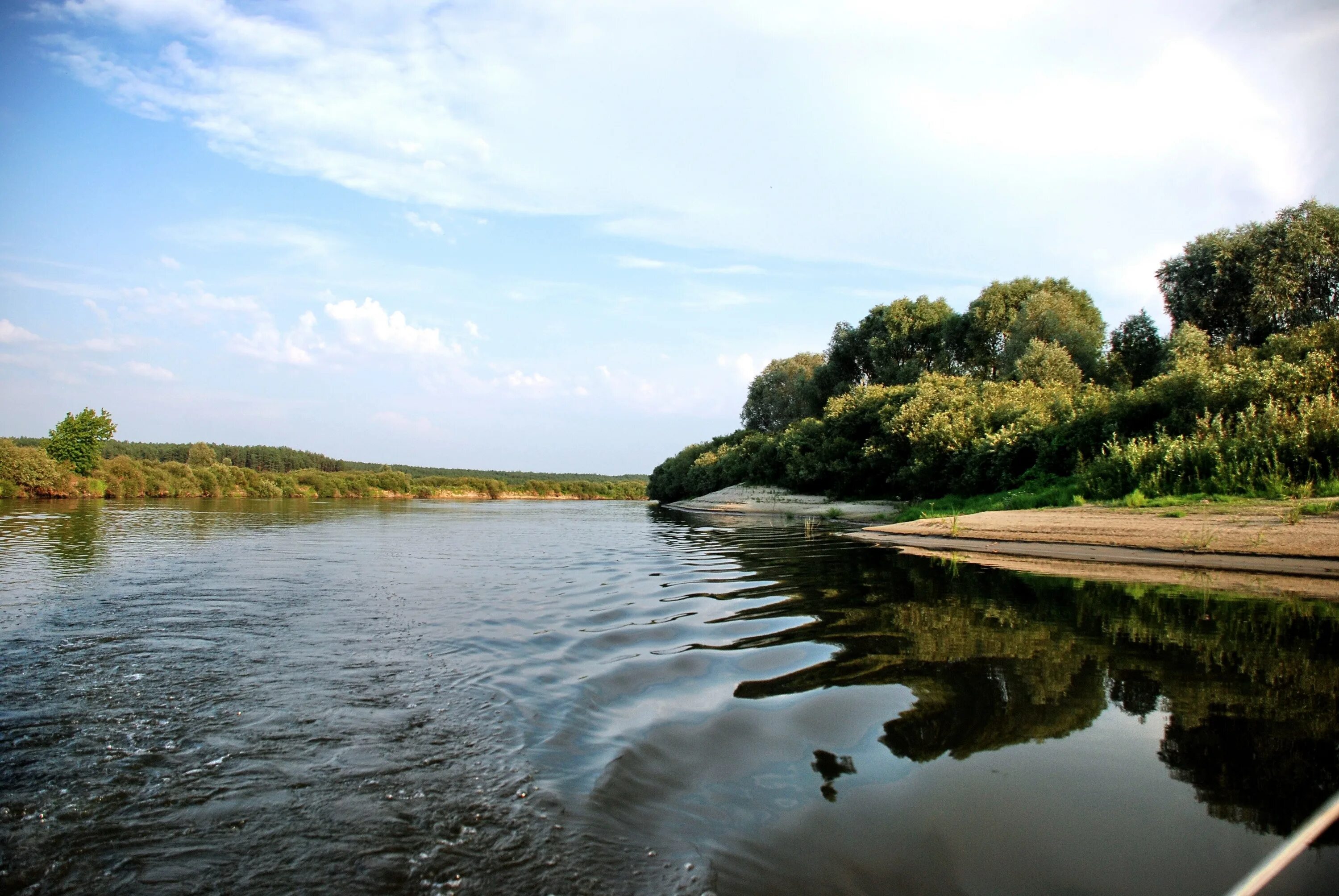 Таежный десна. Река Десна Брянск. Река Десна Трубчевск. Десна (приток Днепра). Десна (приток Пахры).