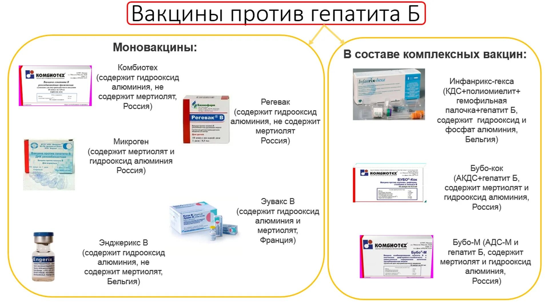 Прививка от гепатита б куда. Прививки против гепатита в Наименование препарата. Какими вакцинами прививают от гепатита б. Вакцина против вирусного гепатита в для новорожденных. Прививки против гепатита б схема вакцинации.