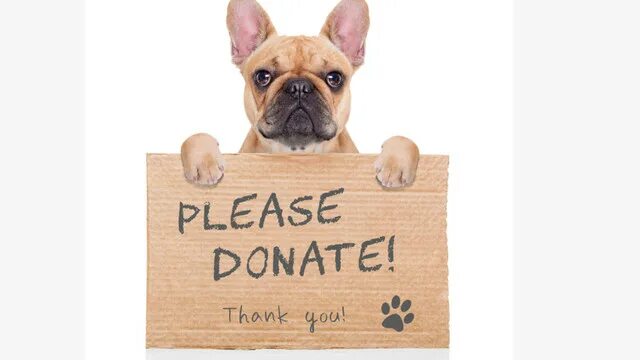 Donate animals