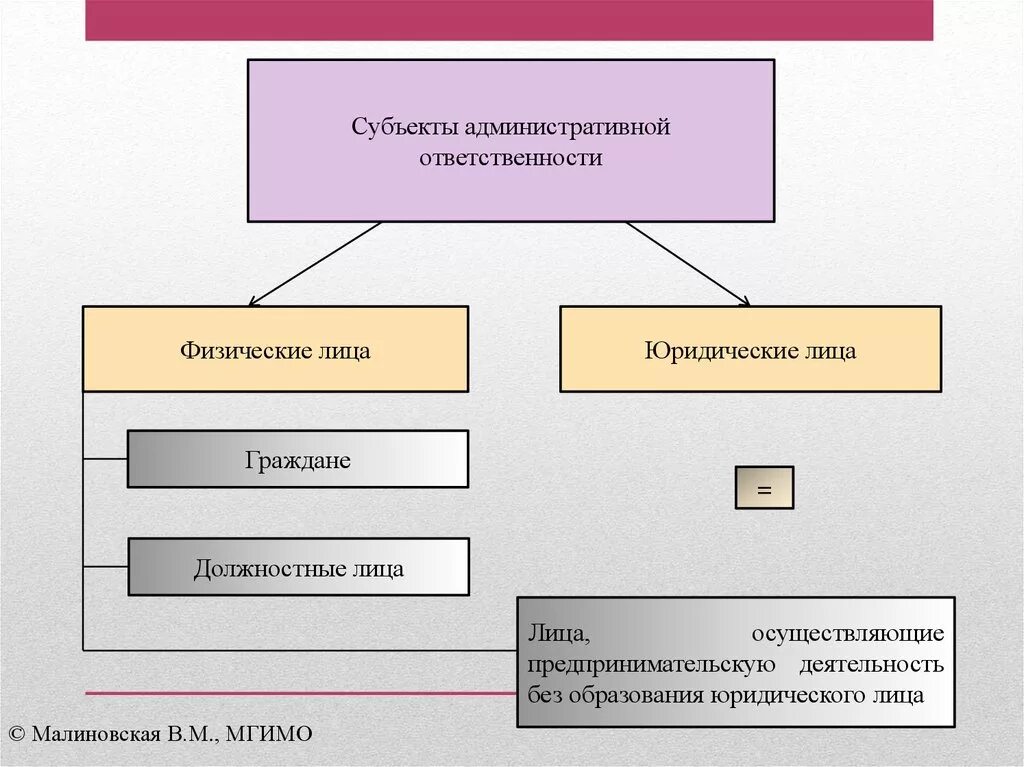 Физическое юридическое и должностное лицо. Субъекты административной ответственности. Субъекты административной ответственности физические и юридические. Субъекты адм ответственности. Субъект вынесен