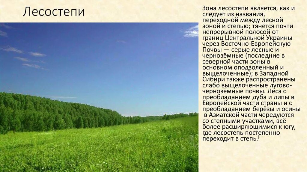 Зона лесостепи климат. Зоны степей и лесостепей России. Природной растительности лесостепи. Презентация лесостепь России. Экологические проблемы природной зоны лесостепи