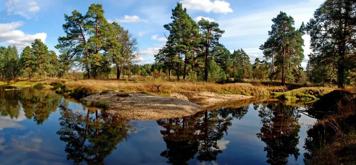 речка бужа. река бужу. станция шатура мост. река бужа тасино владимирская область. река бужа фото.