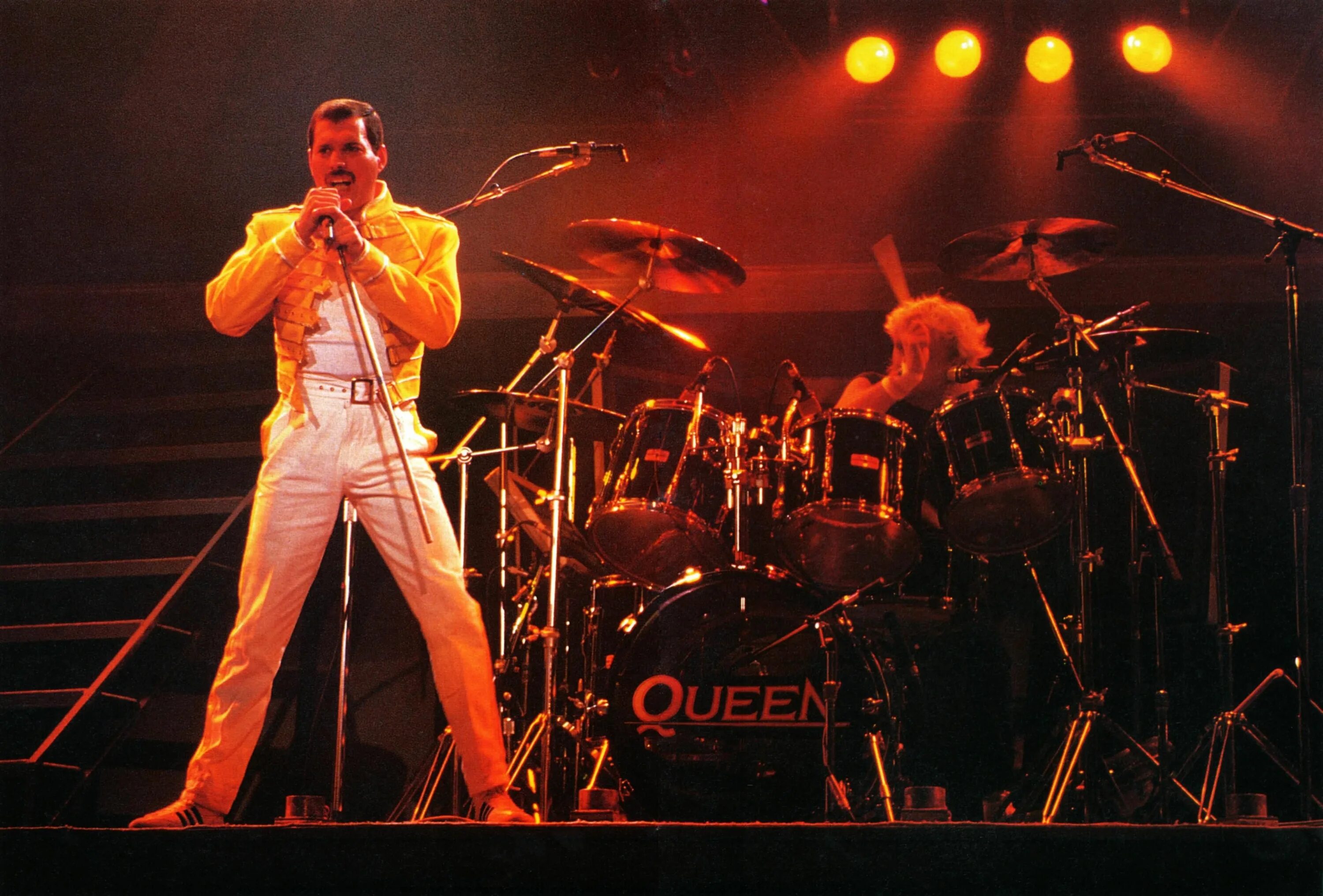 Концерт группы куин 1986. Фредди Меркьюри группа. Queen Фредди Меркьюри. Queen Фредди Меркьюри 1982.
