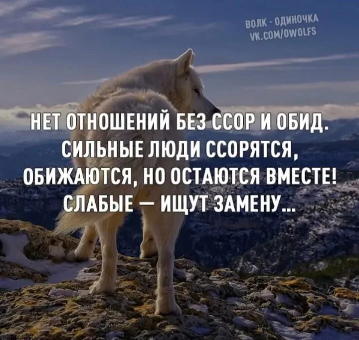 Условия сильного слабому. Одинокий волк цитаты. Цитаты про Одинокова вока. Цитаты Волков. Циат ы про одинокого волка.