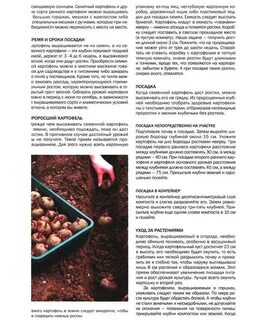 Расстояние между боровками при посадке картофеля