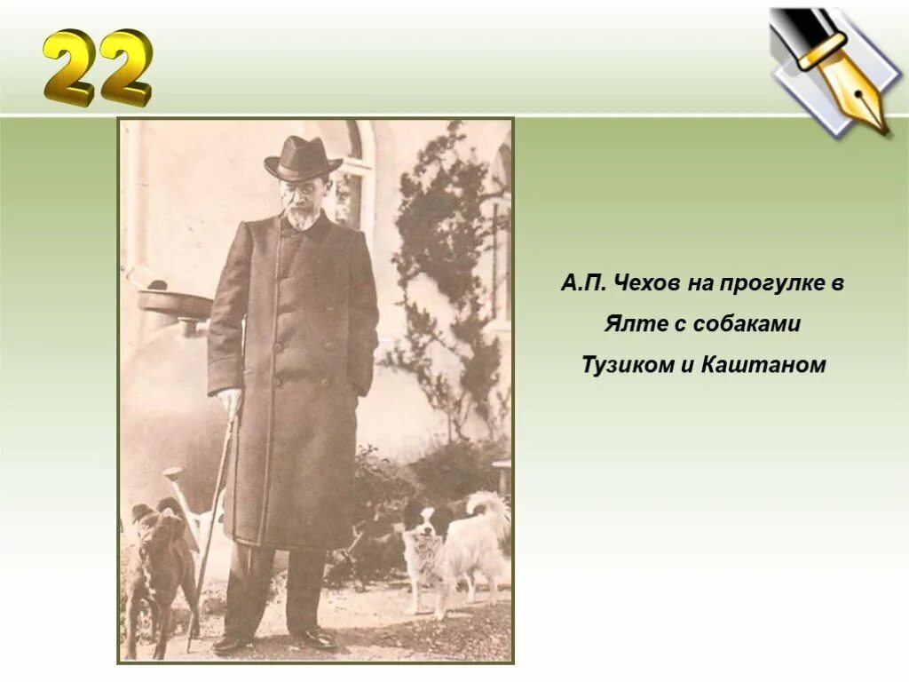 Рассказы а п чехова 7 класс. Чехов на прогулке. .А.П. Чехов с собакой. Чехов жизнь.