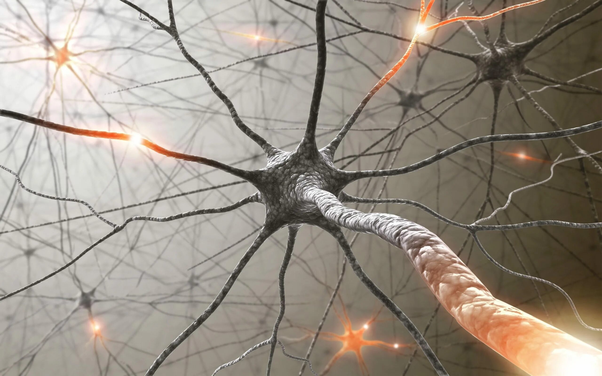 Neural system