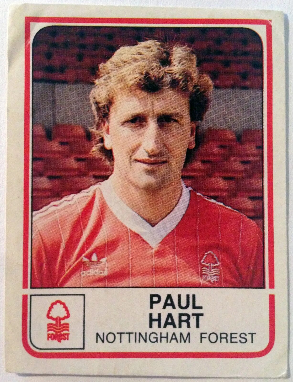 Panini 1983-1984 Манчестер. Paul Hart. Александрович Домингес Панини.
