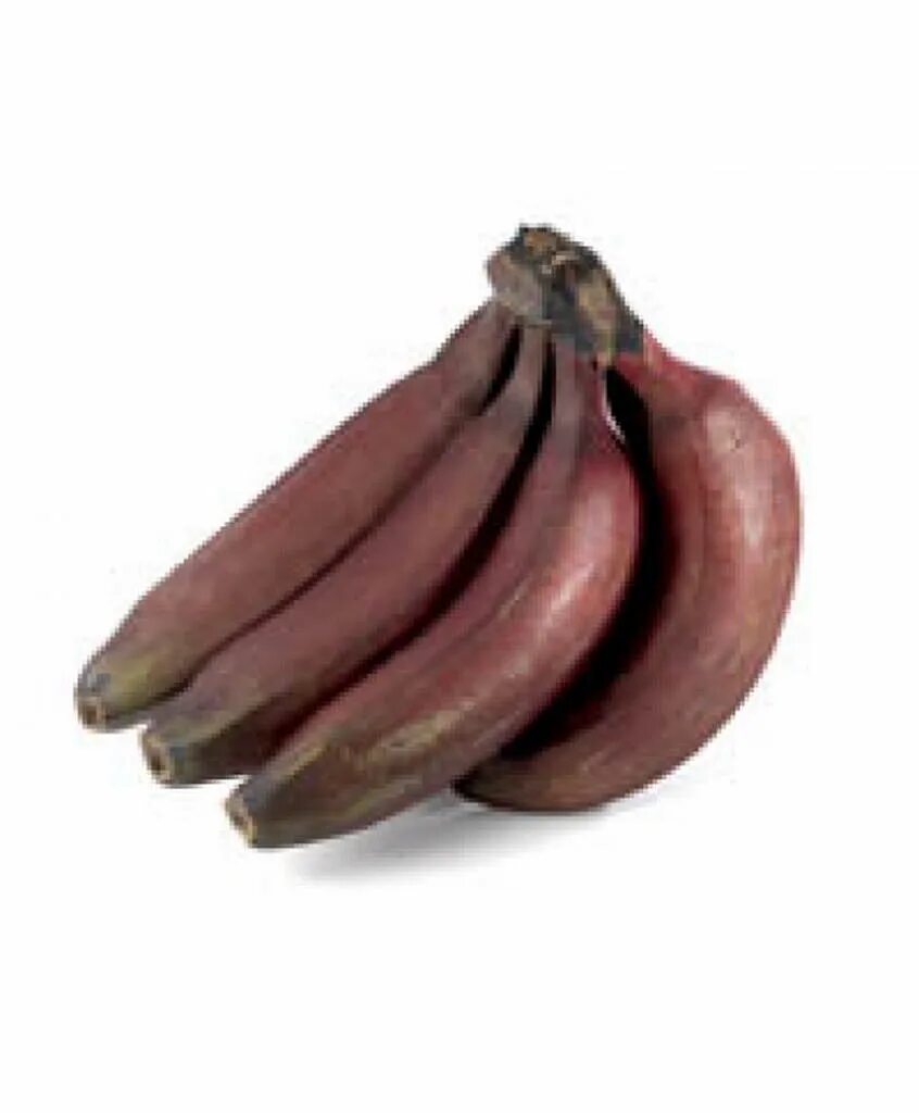 Бананы красные. Бордовые бананы. Бан бан красный. Банан темно красный. Красные бананы купить