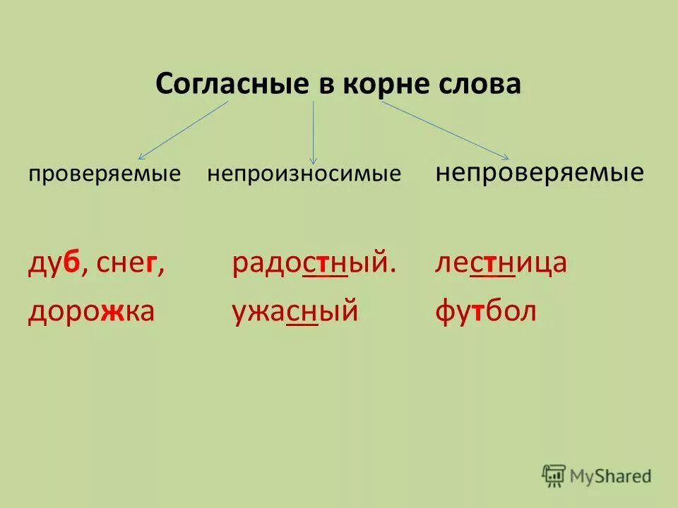 Повторился корень