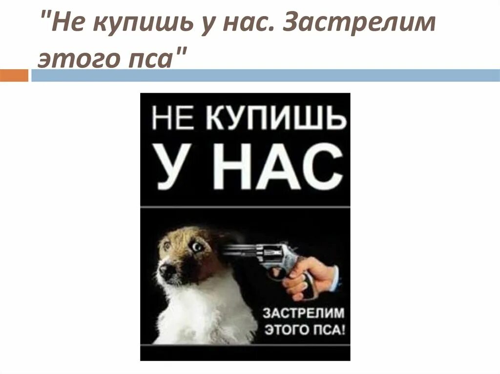 Если не купите у нас застрелим пса. Если не купишь у нас застрелим этого пса. Если вы не купите у нас мы убьем этого пса. Прилепин собаки купить