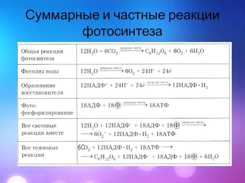 Таблица реакции фотосинтеза. Суммарные и частные реакции фотосинтеза. Фотосинтез химическая реакция. Реакция при фотосинтезе. Уравнение процесса фотосинтеза.