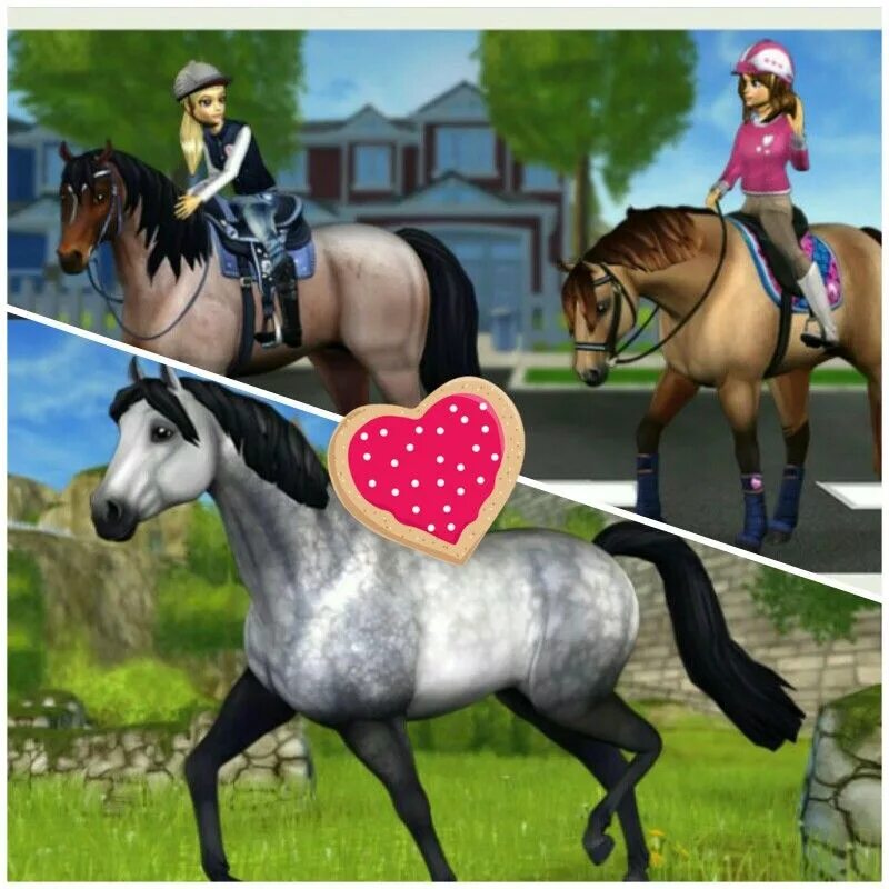 Симс верховая езда. Стар стейбл Хорс. Коннемара Стар стейбл. Star stable Horses игра. SIMS 4 лошади.