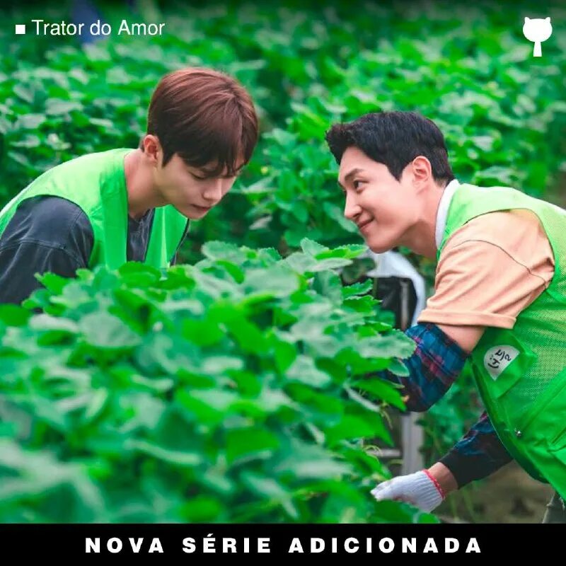 трактор полный любви читать