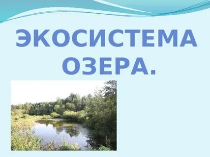 Экосистема озера