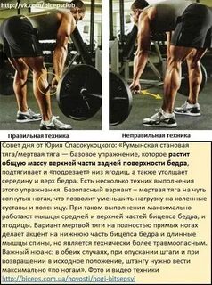 Отличие румынской и мертвой