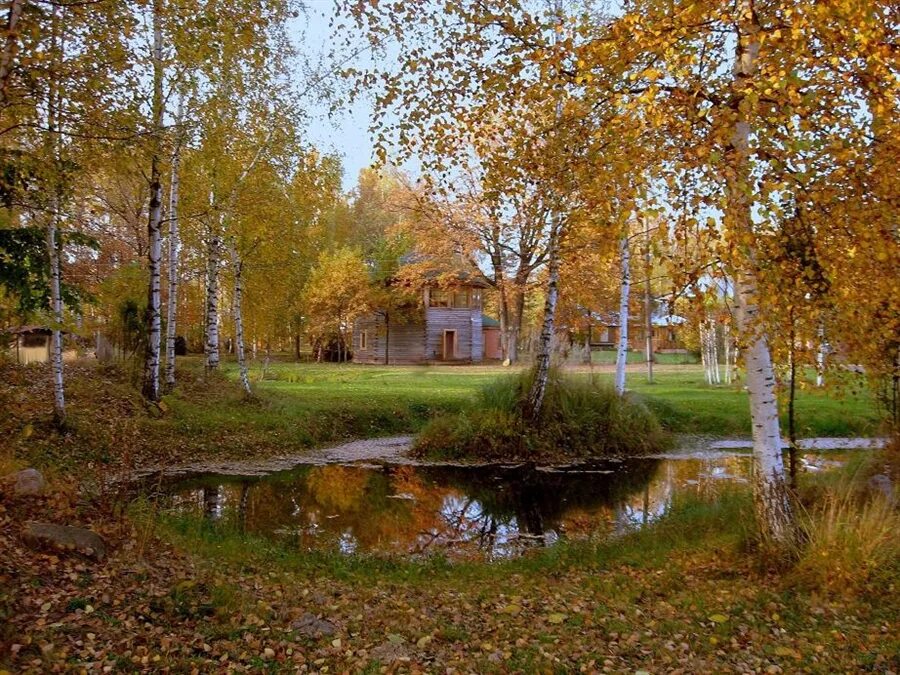 Паустовский осенние. Парк Орехово-Зуево осень. Орехово-Зуево природа. Лес Орехово Зуево. Осень Орехово-Зуево картина.