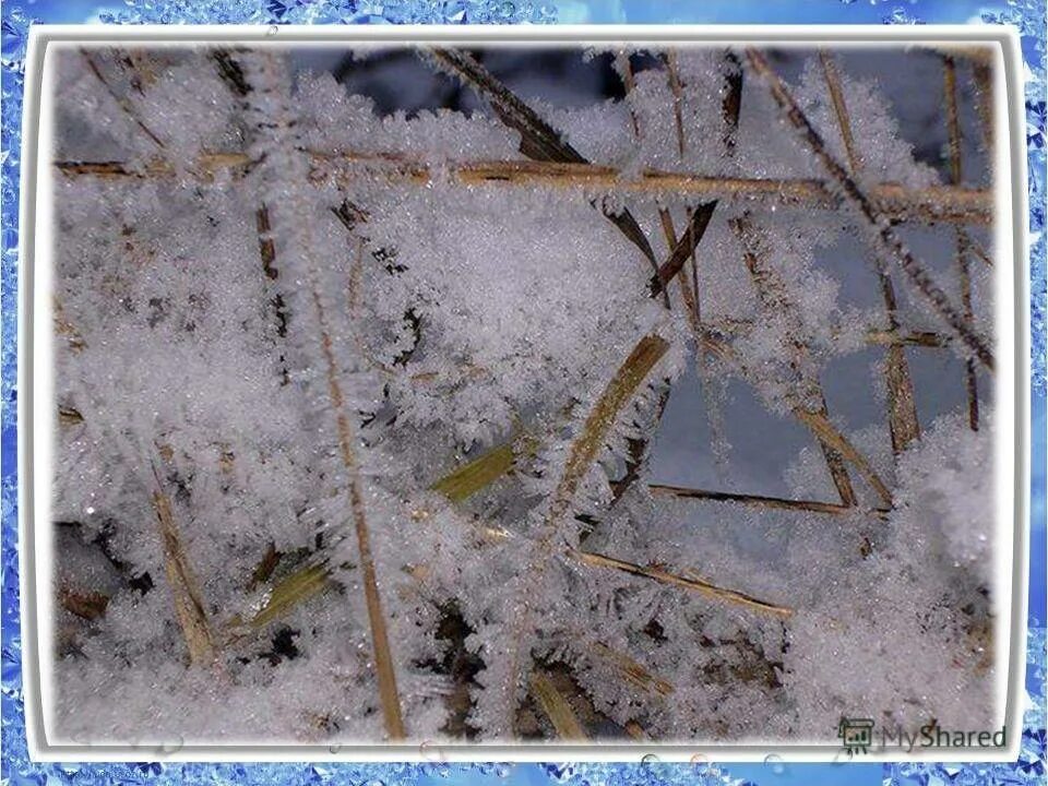 иней изморозь куржак. изморозь и изморось. изморозь и изморось. иней и изморозь. изморозь 2.