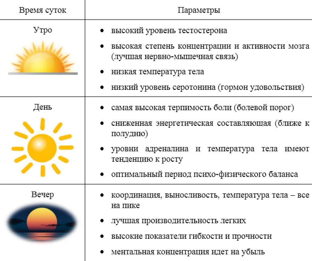 Больше суток. В какое время суток лучше заниматься спортом. Лучшее время для тренировок. В какое время лучше тренироваться. Лучшее время для тренировок для похудения.