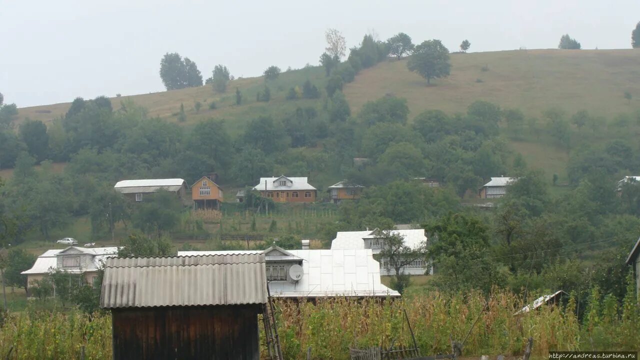 Село бабино. Село Бабин. Село Бабин Винницкой области. Бабино Украина село. Черновицкая область село Бабино.