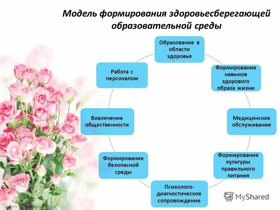 Модель развитием образовательной организации