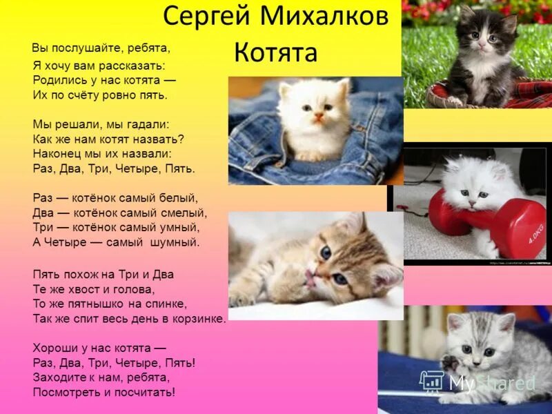 Я хочу четыре пять. Раз, два, три, четыре, пять. Оащ котенок самый белый. Я хочу четыре пять. Интересные считалки для детей.