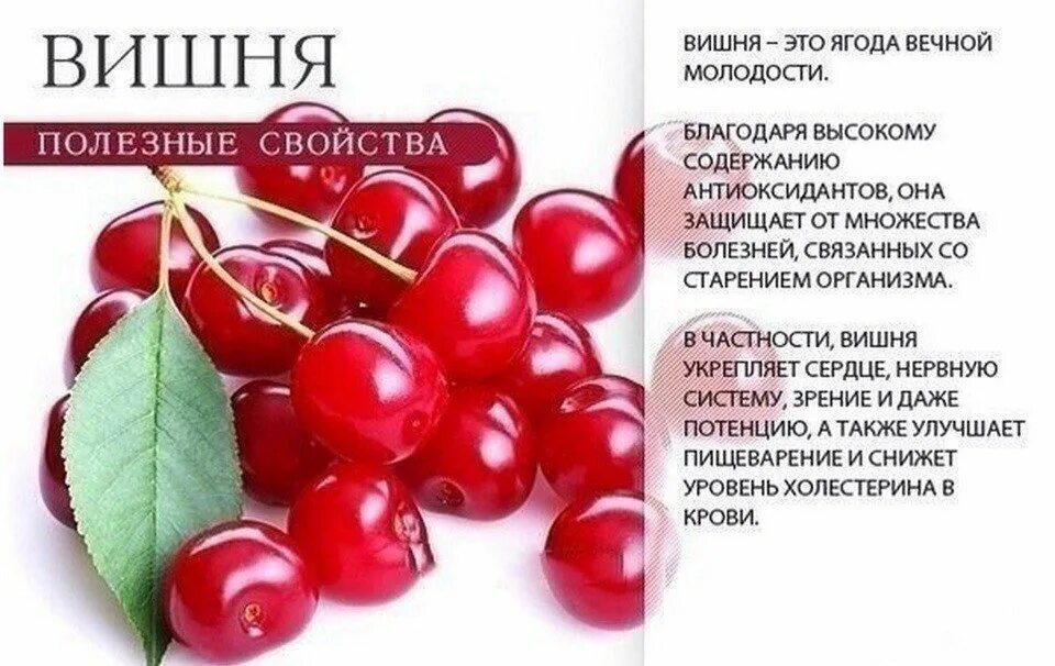 Польза черешни. Чем полезна вишня. Чем полезна вишня для организма. Полезные свойства ягод. Полезные ягоды для здоровья.