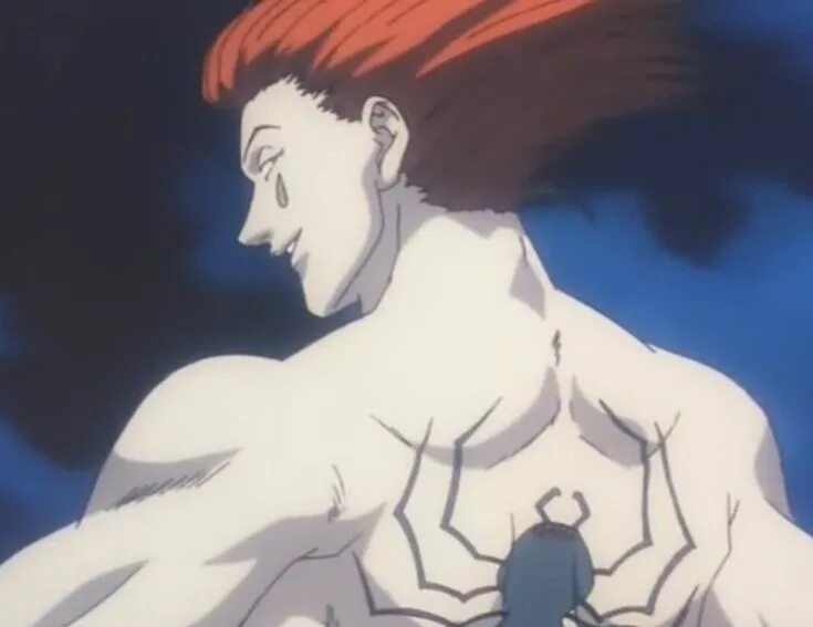 Хантер хантер 1999 хисока. Редан хисока. Hxh хисока. Редан хисока. Чвк редан паук.