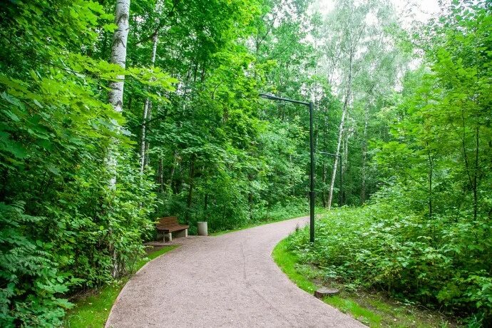 Stone sokolniki. Парк Сокольники тропа. Парк Сокольники тропа здоровья. Парк Сокольники экотропа. Парк Сокольники лес тропа здоровья.