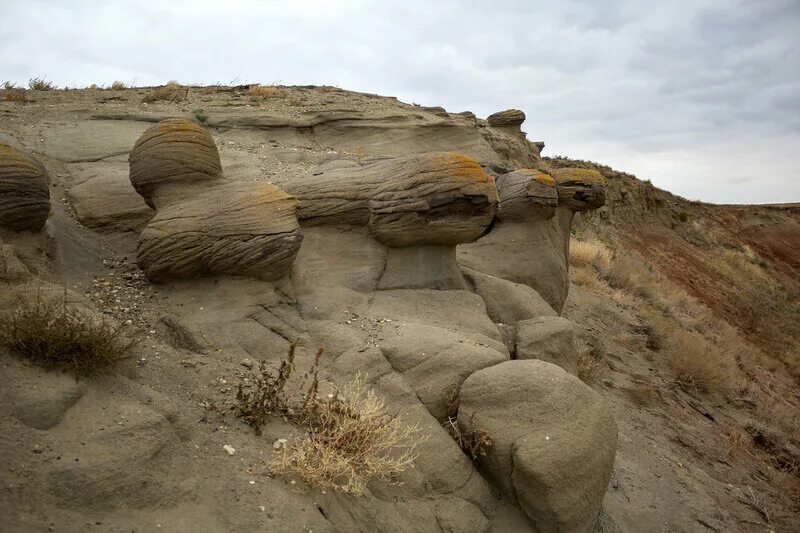 Букобайские яры оренбургская область 52 фото Ast-Ohota.ru
