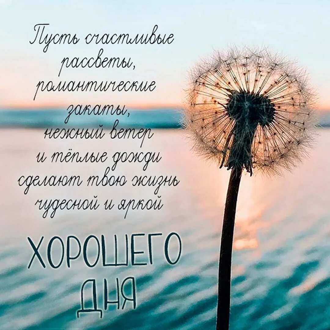 Доброго утра про жизнь