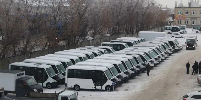 Пассажиртранс. Пассажиртранс саратов. директор муп пассажиртранс воронеж. пассажиртранс шатских. картинки муп пассажиртранс липецк.