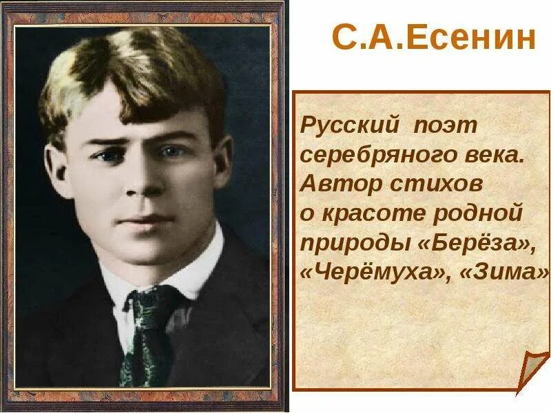 Поэты и писатели 20 века детям. Есенин портрет. Поэты 20 века Есенин. Есенин серебряный век.