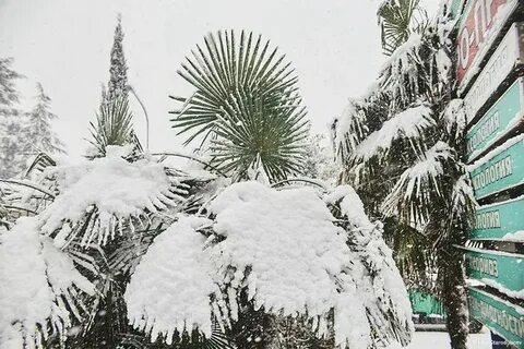 Какая зима на юге
