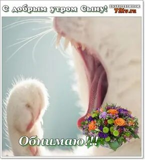 Картинки пожелания сыновьям доброго утра
