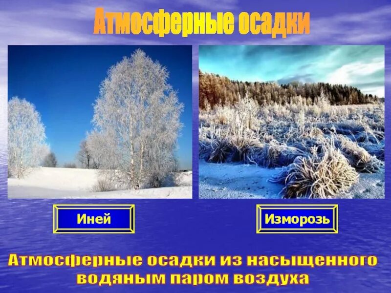 Изморозь это осадки. Иней изморозь разница. Иней атмосферные осадки. Изморозь атмосферные осадки. Презентация на тему иней.