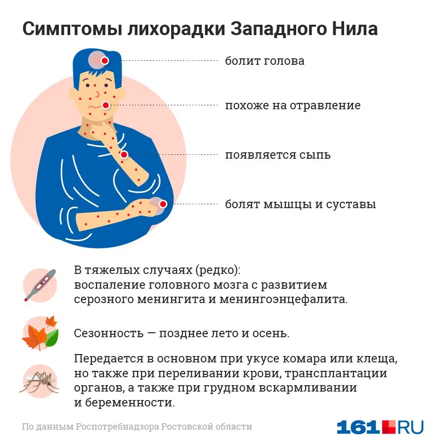 Симптомы лихорадки у человека. Лехорадка запрдного Нива.