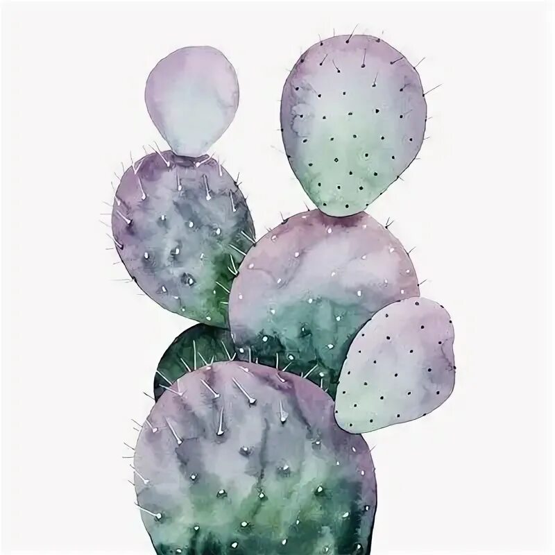 Cactus pro 02b. Кактусы без цветов акварелью. Кактус иллюстрация акварель. Постер акварель Кактус. Cactus Jack Purple.