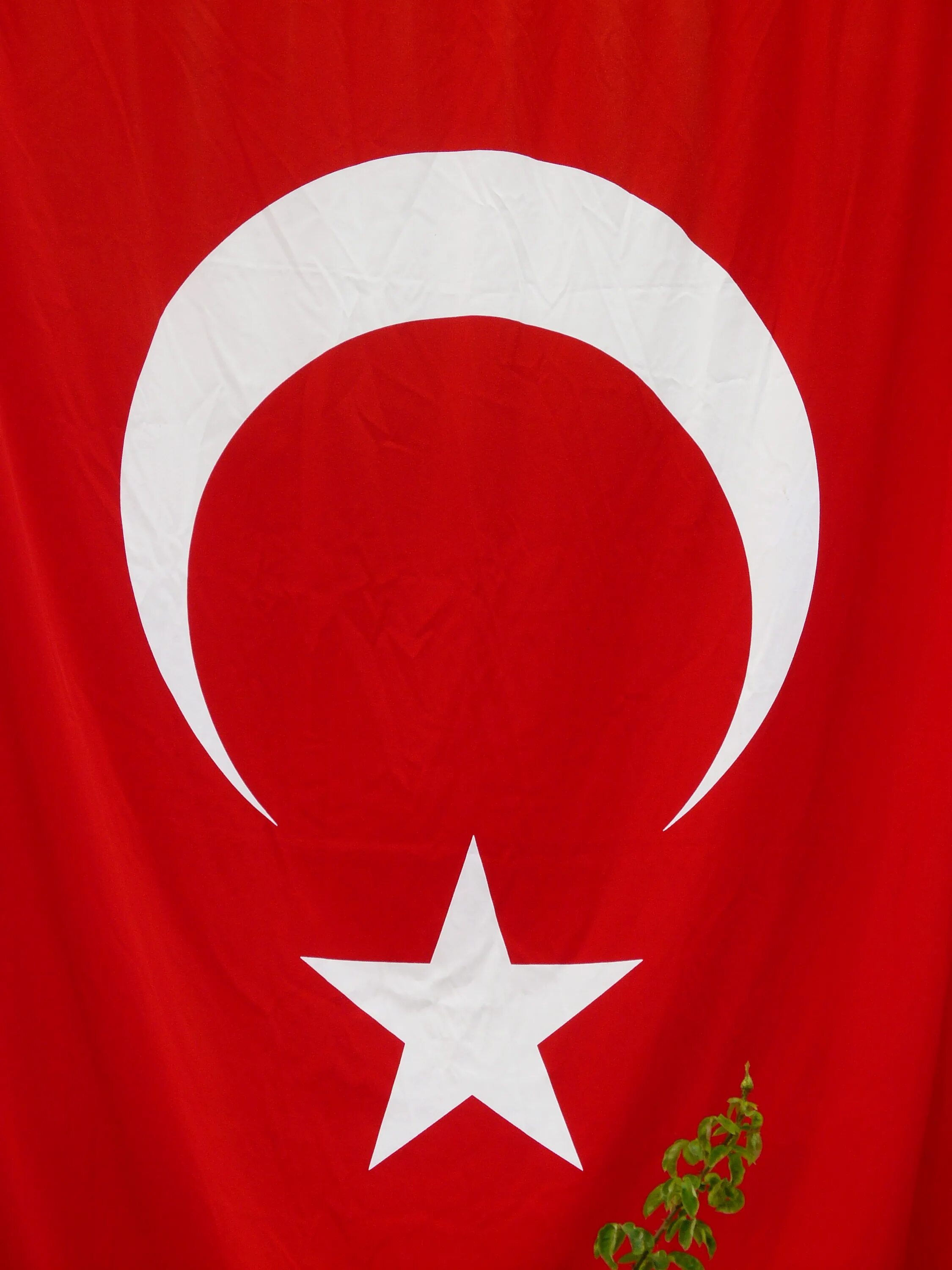 Полумесяц турецкий флаг красный. Полумесяц флаг Турции. Красно белый флаг с полумесяцем и звездой. Красный флаг с луной и звездой. Сколько звезд на флаге турции